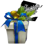 Box of Blue Ribbon